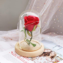QYMX Eternal Flower ， Romanticismo Eternal Life Fiore Copertura di Vetro Rosa in Una boccetta Lampada Regalo di Natale Regalo di Compleanno Regali di San Valentino Decor
