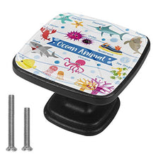 Vita marina (2) 4 PCS Pomelli per Porta, Pomolo per Mobile, Pomelli per Mobili con Viti, Maniglia per Armadietto, Pomelli per Porta, Pomelli per Cassetti per Porta, Armadio, Cassetto e Credenza