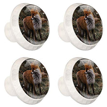 Volpe animale 4 PCS Pomelli per Porta, Pomolo per Mobile, Pomelli per Mobili con Viti, Maniglia per Armadietto, Pomelli per Porta, Pomelli per Cassetti per Porta, Armadio, Cassetto e Credenza