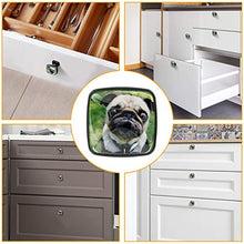 Carlino triste 4 PCS Pomelli per Porta, Pomolo per Mobile, Pomelli per Mobili con Viti, Maniglia per Armadietto, Pomelli per Porta, Pomelli per Cassetti per Porta, Armadio, Cassetto e Credenza