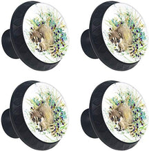 Raccoon Forest Animals Watercolor Pomelli per Porta Set di 4 Pomelli per Mobili Manopole per Cassetti Cucina Armadio Vetro