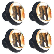 Elefante di famiglia 4 PCS Pomelli per Porta, Pomolo per Mobile, Pomelli per Mobili con Viti, Maniglia per Armadietto, Pomelli per Porta, Pomelli per Cassetti per Porta, Armadio, Cassetto e Credenza