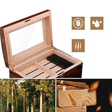 Minmin Cigar Box Legno di Cedro Vetro Trasparente Finestra sigaro umidificatore Sigaro di fumo del Governo con l'igrometro, 240x220x240mm accessori del sigaro (Size : 240x220x240mm)
