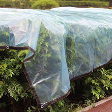 KOET - Telone trasparente antigelo in tessuto PE rimovibile con anelli di tensione in ferro antiruggine per piante, coperta per giardino e patio