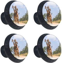 Giraffe africane del gruppo Walkin Pomelli per Porta Set di 4 Pomelli per Mobili Manopole per Cassetti Cucina Armadio Vetro