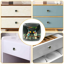 Uccello del fumetto 4 PCS Pomelli per Porta, Pomolo per Mobile, Pomelli per Mobili con Viti, Maniglia per Armadietto, Pomelli per Porta, Pomelli per Cassetti per Porta, Armadio, Cassetto e Credenza