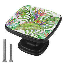 jungle leaves monstera leaf strelitzia Pomelli per Porta Set di 4 Pomelli per Mobili Manopole per Cassetti Cucina Armadio Vetro