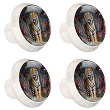 Tiger Ahorn 4 PCS Pomelli per Porta, Pomolo per Mobile, Pomelli per Mobili con Viti, Maniglia per Armadietto, Pomelli per Porta, Pomelli per Cassetti per Porta, Armadio, Cassetto e Credenza