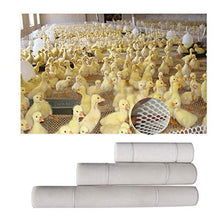 Rete di Sicurezza for Bambini, Rete da Balcone, Rete in Plastica, Recinzione da Giardino, Rete da Pollo, Rete da Gatto, Rete da Riproduzione, Rete da Arrampicata for Piante, Bianca ( Size : 1*3m )