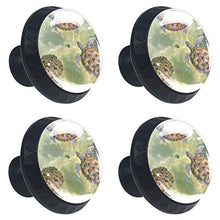 Tartaruga divertente 4 PCS Pomelli per Porta, Pomolo per Mobile, Pomelli per Mobili con Viti, Maniglia per Armadietto, Pomelli per Porta, Pomelli per Cassetti per Porta, Armadio, Cassetto e Credenza