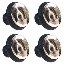 Border collie (2) 4 PCS Pomelli per Porta, Pomolo per Mobile, Pomelli per Mobili con Viti, Maniglia per Armadietto, Pomelli per Porta, Pomelli per Cassetti per Porta, Armadio, Cassetto e Credenza