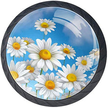 Bianco giallo Daisy Florals Blue Clear Sky Pomelli per Porta Set di 4 Pomelli per Mobili Manopole per Cassetti Cucina Armadio Vetro