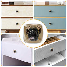 Faccia di cane animale 4 PCS Pomelli per Porta, Pomolo per Mobile, Pomelli per Mobili con Viti, Maniglia per Armadietto, Pomelli per Porta, Pomelli per Cassetti per Porta, Armadio, Cassetto e Credenza