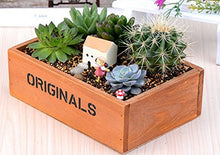 KOTiger in Legno Piante succulente Erbe aiuola Box Vaso da Giardino Paesaggio Decorazione (Marrone)