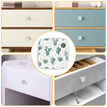 Succulente estive 4 PCS Pomelli per Porta, Pomolo per Mobile, Pomelli per Mobili con Viti, Maniglia per Armadietto, Pomelli per Porta, Pomelli per Cassetti per Porta, Armadio, Cassetto e Credenza