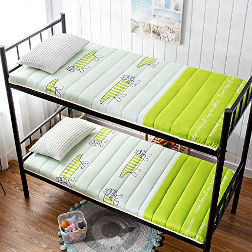 Nileco Materassino Trapuntato, Dormitorio Studentesco Coprimaterasso Addensare Pavimenti in Tatami Materasso Pieghevole Coprimaterasso Traspirabilità Stuoie di Cuscino-d 100x200cm(39x79inch)