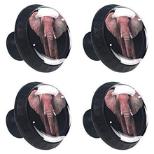 Elefante animale 4 PCS Pomelli per Porta, Pomolo per Mobile, Pomelli per Mobili con Viti, Maniglia per Armadietto, Pomelli per Porta, Pomelli per Cassetti per Porta, Armadio, Cassetto e Credenza