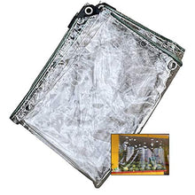 SHIJINHAO Telo Impermeabile Esterno,Heavy Duty Incatramata, 100% Trasparente In PVC Rinforzato Completamente Impermeabile Angolo Con Grommet Adatto For Padiglioni, Tetto, Mobili Da Giardino, 29 Format