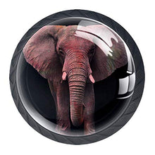 Elefante animale 4 PCS Pomelli per Porta, Pomolo per Mobile, Pomelli per Mobili con Viti, Maniglia per Armadietto, Pomelli per Porta, Pomelli per Cassetti per Porta, Armadio, Cassetto e Credenza