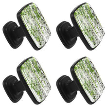 Betulla foresta alberi primavera foresta Pomelli per Porta Set di 4 Pomelli per Mobili Manopole per Cassetti Cucina Armadio Vetro