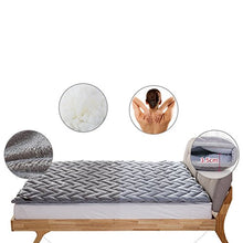 hxxxy Materasso Letto futon,Materasso Tradizionale,Materassino waterfoam,Pieghevole-A 100x190cm(39x75inch)