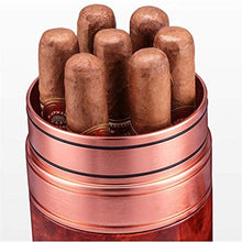 SHYPT Portatile da Viaggio in Pelle Cigar Humidor - Wearable e sigillabile Portable Desktop Cedar Legno ricoperto Humidor