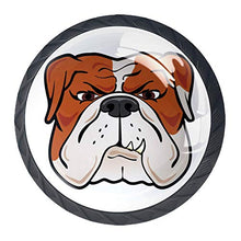 Set di 4 maniglie rotonde per armadio da cucina, credenza, cassettiera, cassettiera, con viti, per cucina, comò, armadietto, bagno, armadio e cane Bulldog