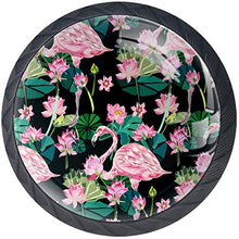 Lotus Pink Leaves Flamingo Pattern rosa Pomelli per Porta Set di 4 Pomelli per Mobili Manopole per Cassetti Cucina Armadio Vetro