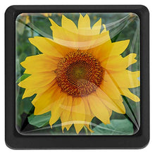 Bouquet giallo 3 PCS Pomelli per Porta, Pomolo per Mobile, Pomelli per Mobili con Viti, Maniglia per Armadietto, Pomelli per Porta, Pomelli per Cassetti per Porta, Armadio, Cassetto e Credenza