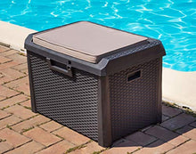 Cassapanca da giardino con 125 l, contenitore richiudibile per terrazza con cuscino, in plastica, 73 x 50,5 x 49,5 cm