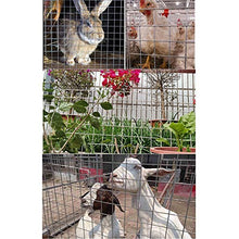 LSXIAO Anti Ruggine Rete da Giardino Rete Metallica Saldata Salsa Calda Zincato Panno Hardware Foro per Rete da 2cm con Le Pinze per Il Pollaio, Aiuola Terrazza Scatola di Immagazzinaggio
