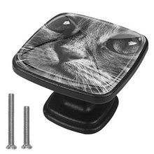 Gattino 4 PCS Pomelli per Porta, Pomolo per Mobile, Pomelli per Mobili con Viti, Maniglia per Armadietto, Pomelli per Porta, Pomelli per Cassetti per Porta, Armadio, Cassetto e Credenza