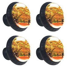 Acero d'autunno 4 PCS Pomelli per Porta, Pomolo per Mobile, Pomelli per Mobili con Viti, Maniglia per Armadietto, Pomelli per Porta, Pomelli per Cassetti per Porta, Armadio, Cassetto e Credenza