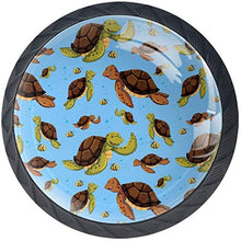 La tartaruga di mare pesca il mare blu Pomelli per Porta Set di 4 Pomelli per Mobili Manopole per Cassetti Cucina Armadio Vetro
