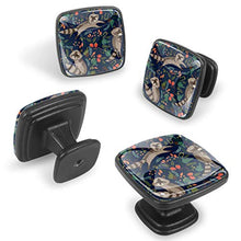 Procione carino Pomelli per Porta Set di 4 Pomelli per Mobili Manopole per Cassetti Cucina Armadio Vetro