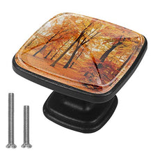 Autunno nel parco forestale Pomelli per Porta Set di 4 Pomelli per Mobili Manopole per Cassetti Cucina Armadio Vetro