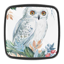 cartolina dell'acquerello del gufo bianco Pomelli per Porta 4 Pezzi Manopole per Mobili da Cucina Pomelli per Mobili Pomelli Per Cassetti/Cucina/Armadio Antichi