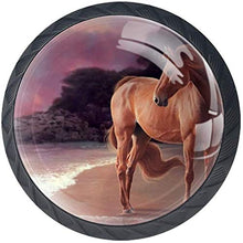 Cavallo Sulla Spiaggia Pomelli per Porta Set di 4 Pomelli per Mobili Manopole per Cassetti Cucina Armadio Vetro