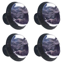Stella del cavallo 4 PCS Pomelli per Porta, Pomolo per Mobile, Pomelli per Mobili con Viti, Maniglia per Armadietto, Pomelli per Porta, Pomelli per Cassetti per Porta, Armadio, Cassetto e Credenza
