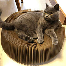 Leyue Divano Letto in Cartone Ondulato Gatto da Letto Divano Letto con catnop per Gattino