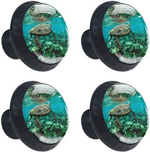 Tartaruga Sott'acqua Pomelli per Porta Set di 4 Pomelli per Mobili Manopole per Cassetti Cucina Armadio Vetro
