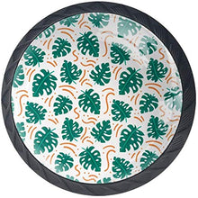 Monstera lascia il modello verde Pomelli per Porta Set di 4 Pomelli per Mobili Manopole per Cassetti Cucina Armadio Vetro