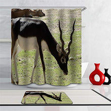 LIYAN Combinazione Bagno. Immagini Chiare E Colori Vivaci Rendono Il Tuo Bagno Pieno di Vita. Accessori da Bagno. Antilope Sull'Erba.