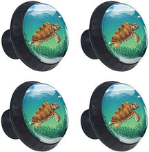 Pianta Di Alghe Di Tartaruga Di Mare Pomelli per Porta Set di 4 Pomelli per Mobili Manopole per Cassetti Cucina Armadio Vetro
