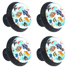 Vari pesci 4 PCS Pomelli per Porta, Pomolo per Mobile, Pomelli per Mobili con Viti, Maniglia per Armadietto, Pomelli per Porta, Pomelli per Cassetti per Porta, Armadio, Cassetto e Credenza
