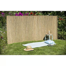 Nature Recinzione Frangivento in Erba di Falasco 1x3 m Protezione Giardino