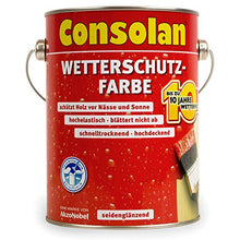 750 ml Consolan protezione dagli agenti atmosferici Colore, piccioni blu