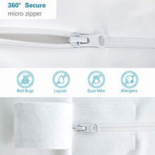 Bedecor Cotone Fodera coprimaterasso Impermeabile con Cerniera,Anti-allergia, Anti-acaro, Antibatterico (160x200+20cm)