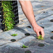 Materiali 50PCS Mobili da giardino a forma di U Lawn Nail U-Nail Giardino Prato fissaggio Nail Pioli reticolato incatramata di fissaggio per unghie