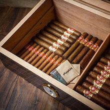 Humidor Humidor in Legno Massello Scatola per Sigari Armadio per Sigari Finestra Trasparente di Grande capacità L'armadio per Pittura in Legno di Cedro può Contenere 60 Sigari